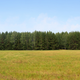 Illustration for article titled Reconstruction Finally Completed On Field Destroyed By United Flight 93